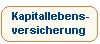 Kapitallebensversicherung